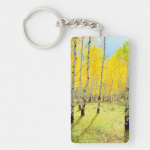 Fall colours of Aspen trees 4 Key Ring
