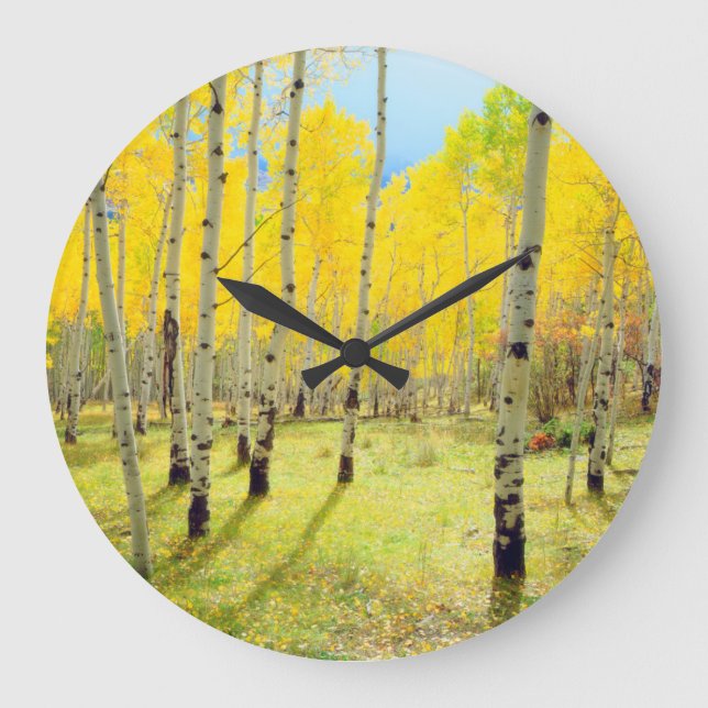 Fall colours of Aspen trees 4 Large Clock (Front)