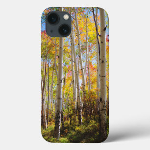 Fall colours of Aspen trees 5 iPhone 13 Case
