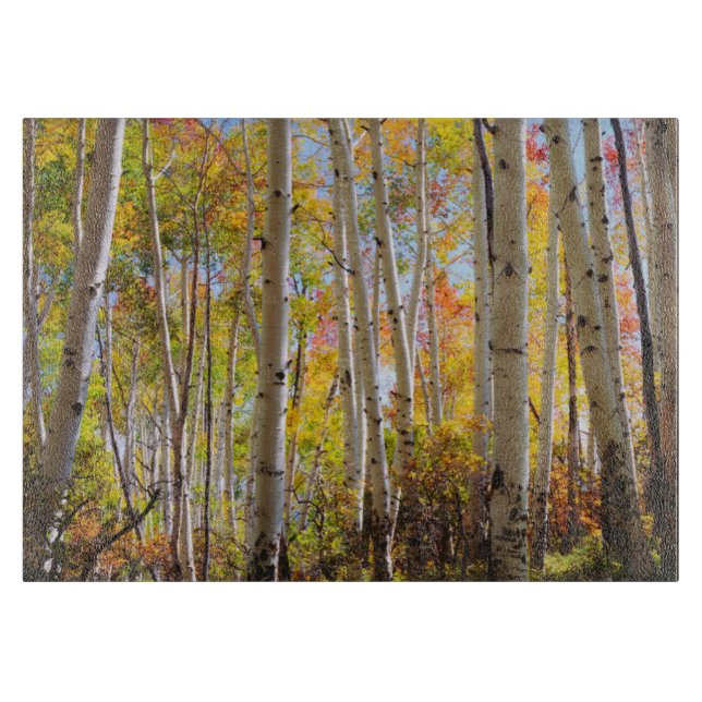 Fall colours of Aspen trees 5 Cutting Board (Front)