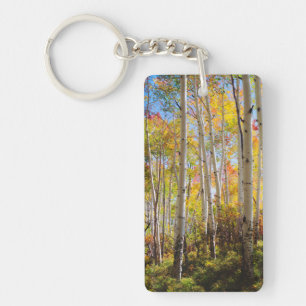 Fall colours of Aspen trees 5 Key Ring