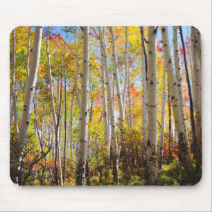 Fall colours of Aspen trees 5 Mouse Pad