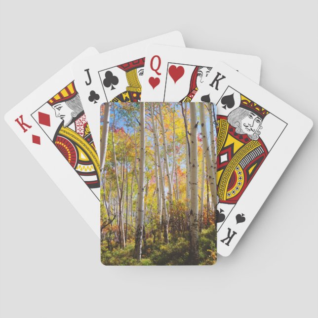 Fall colours of Aspen trees 5 Playing Cards (Back)