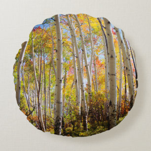 Fall colours of Aspen trees 5 Round Cushion