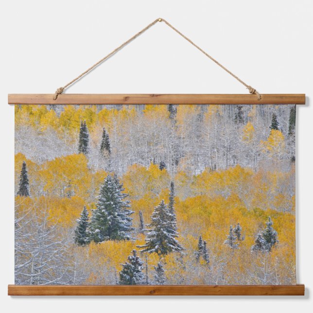 Fall Colours of Aspens & Fresh Snow Keebler Pass Hanging Tapestry (Front)