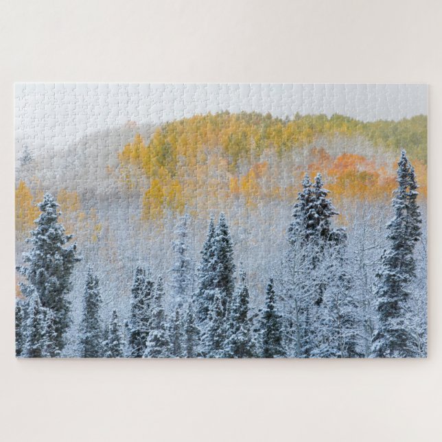 Fall Colours of Aspens & Fresh Snow Keebler Pass Jigsaw Puzzle (Horizontal)