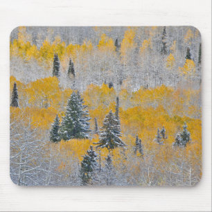 Fall Colours of Aspens & Fresh Snow Keebler Pass Mouse Pad