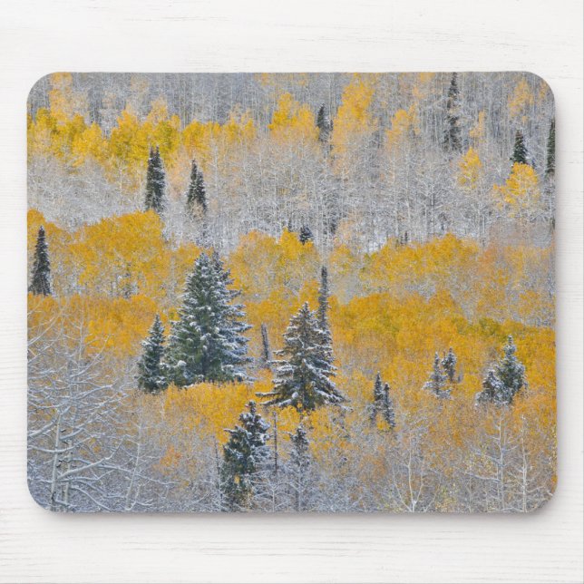 Fall Colours of Aspens & Fresh Snow Keebler Pass Mouse Pad (Front)