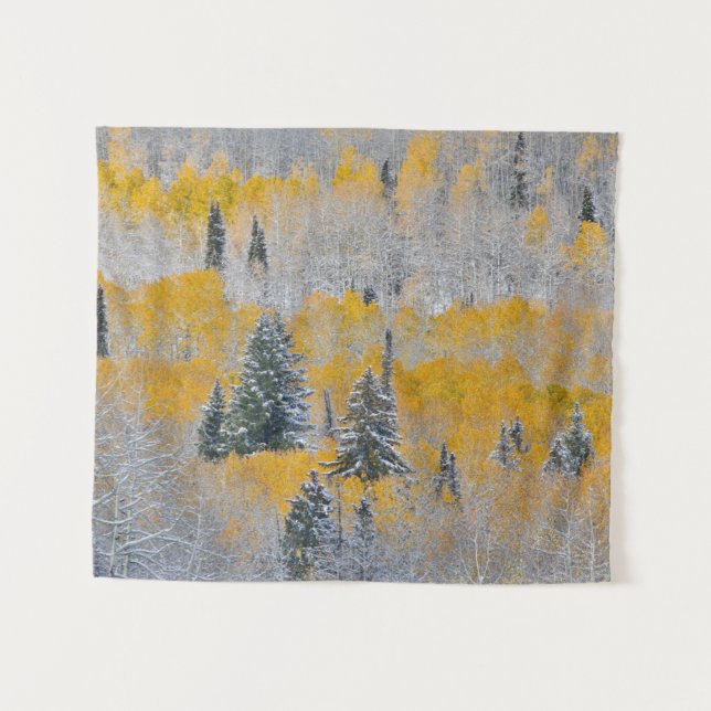 Fall Colours of Aspens & Fresh Snow Keebler Pass Tapestry (Front (Horizontal))
