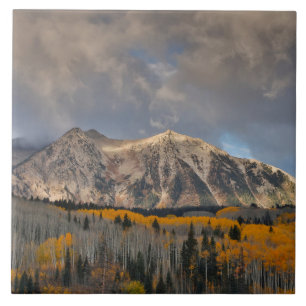 Fall Colours of Aspens, Keebler Pass Ceramic Tile