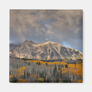 Fall Colours of Aspens, Keebler Pass Magnet