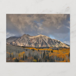 Fall Colours of Aspens, Keebler Pass Postcard