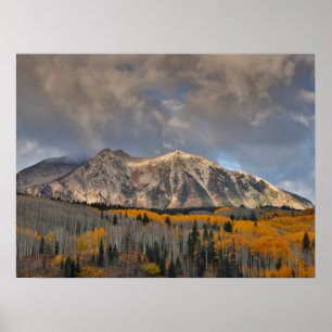 Fall Colours of Aspens, Keebler Pass Poster