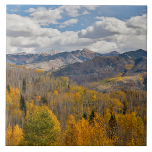 Fall Colours of Aspens & Oaks Keebler Pass Ceramic Tile