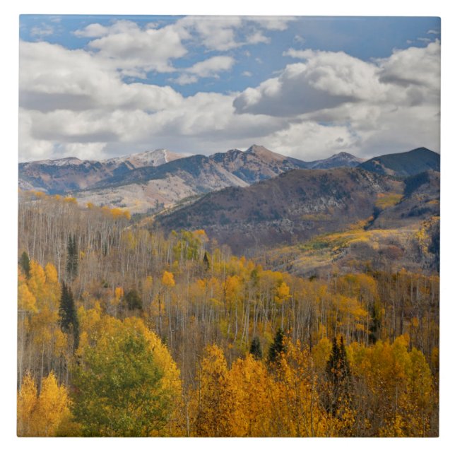 Fall Colours of Aspens & Oaks Keebler Pass Ceramic Tile (Front)