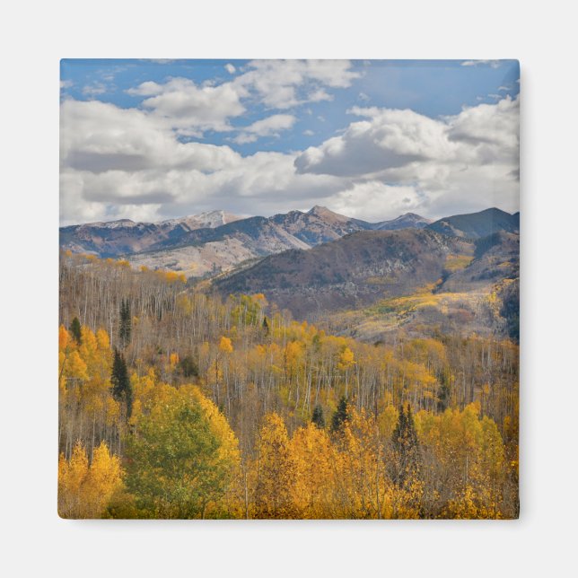 Fall Colours of Aspens & Oaks Keebler Pass Magnet (Front)