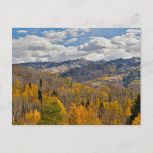 Fall Colours of Aspens & Oaks Keebler Pass Postcard