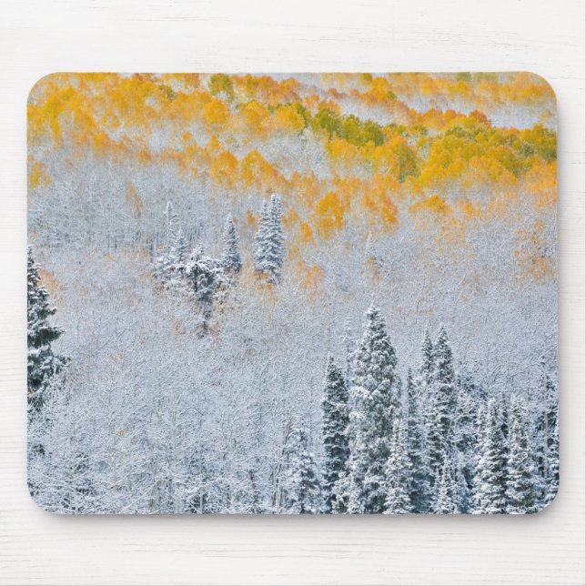 Fall Colours of Aspens | Rocky Mountains, Colorado Mouse Pad (Front)
