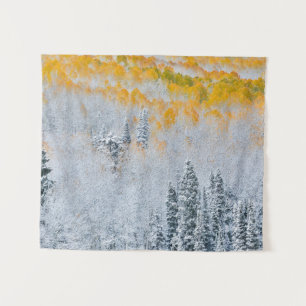 Fall Colours of Aspens   Rocky Mountains, Colorado Tapestry