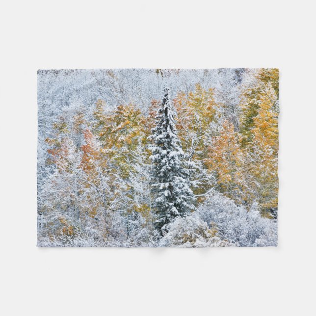 Fall Colours of Aspens & Snow Keebler Pass Fleece Blanket (Front (Horizontal))
