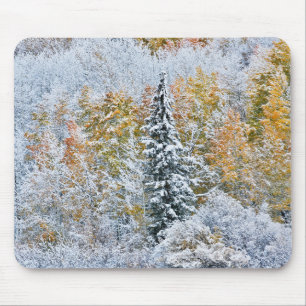 Fall Colours of Aspens & Snow Keebler Pass Mouse Pad