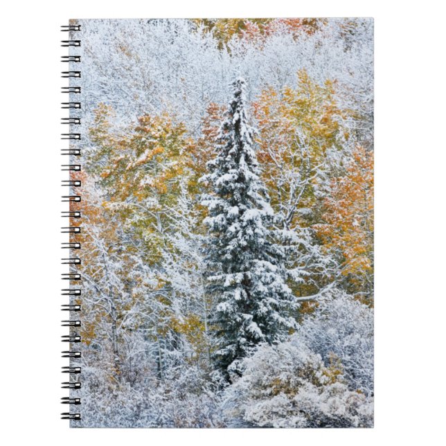 Fall Colours of Aspens & Snow Keebler Pass Notebook (Front)