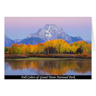 Fall Colours Of Grand Teton National Park