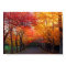 Fall Colours Print