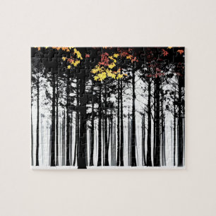 Fall Colours Splashed Silhouette Trees For Kids Jigsaw Puzzle