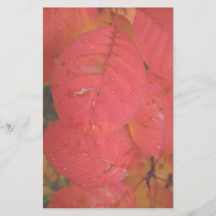 fall colours stationery
