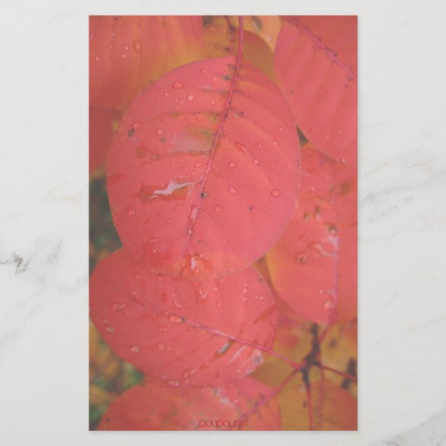 fall colours stationery (Front)