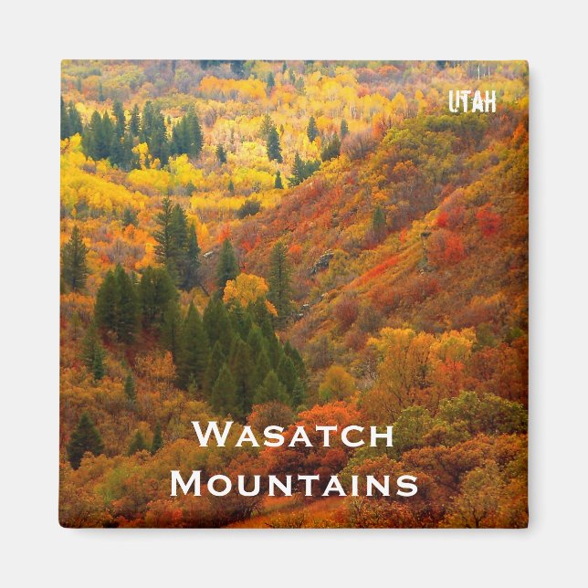 Fall Colours, Wasatch Mountains, Northern Utah Magnet (Front)