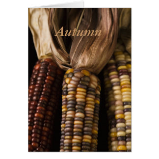 Fall Corn Harvest