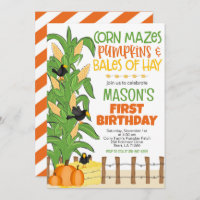 Fall Corn Maze Pumpkin Boy Birthday