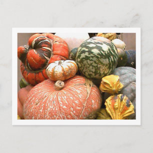 Fall Cornicopia Postcard