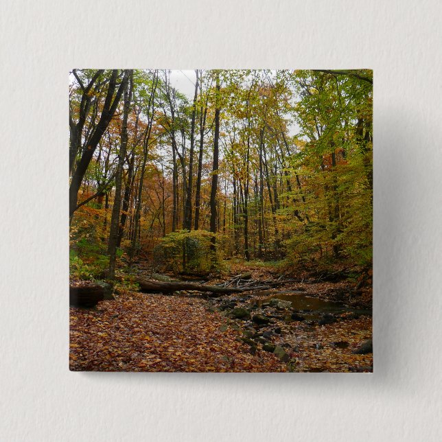 Fall Creek at Laurel Hill State Park 15 Cm Square Badge (Front)