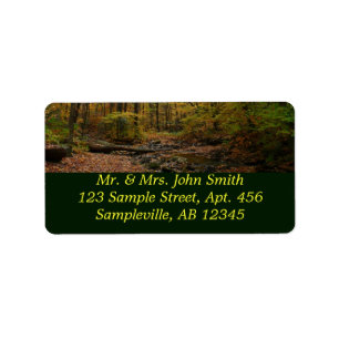 Fall Creek at Laurel Hill State Park Label