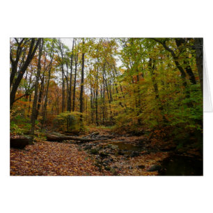 Fall Creek at Laurel Hill State Park Pennsylvania