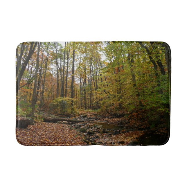 Fall Creek at Laurel Hill State Park Pennsylvania Bath Mat (Front)