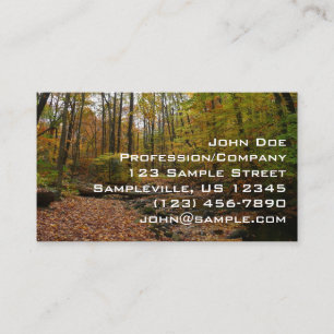 Fall Creek at Laurel Hill State Park Pennsylvania Business Card