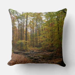 Fall Creek at Laurel Hill State Park Pennsylvania Cushion