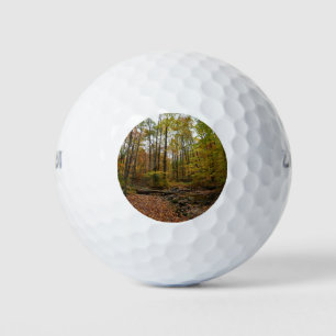 Fall Creek at Laurel Hill State Park Pennsylvania Golf Balls