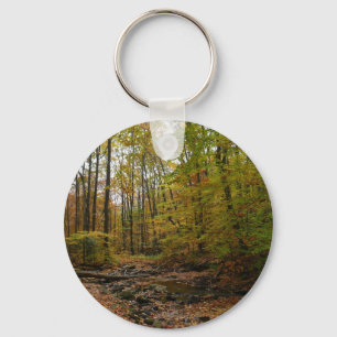 Fall Creek at Laurel Hill State Park Pennsylvania Key Ring