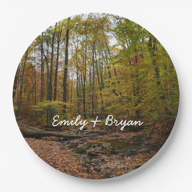 Fall Creek at Laurel Hill State Park Pennsylvania Paper Plate (Front)
