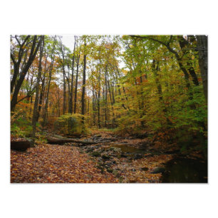 Fall Creek at Laurel Hill State Park Pennsylvania Photo Print