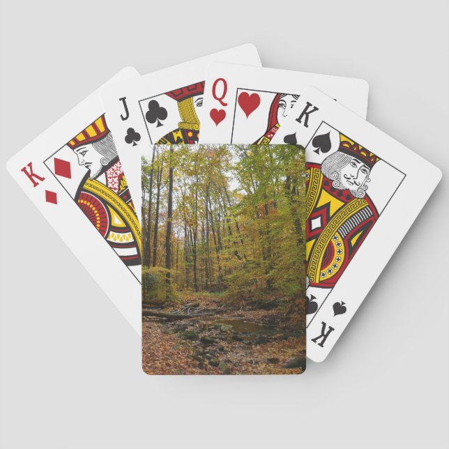 Fall Creek at Laurel Hill State Park Pennsylvania Playing Cards (Back)