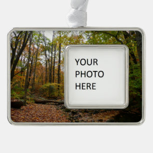 Fall Creek at Laurel Hill State Park Pennsylvania Silver Plated Framed Ornament