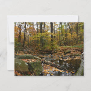 Fall Creek with Reflection at Laurel Hill Park