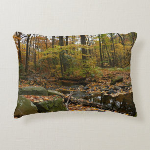 Fall Creek with Reflection at Laurel Hill Park Decorative Cushion