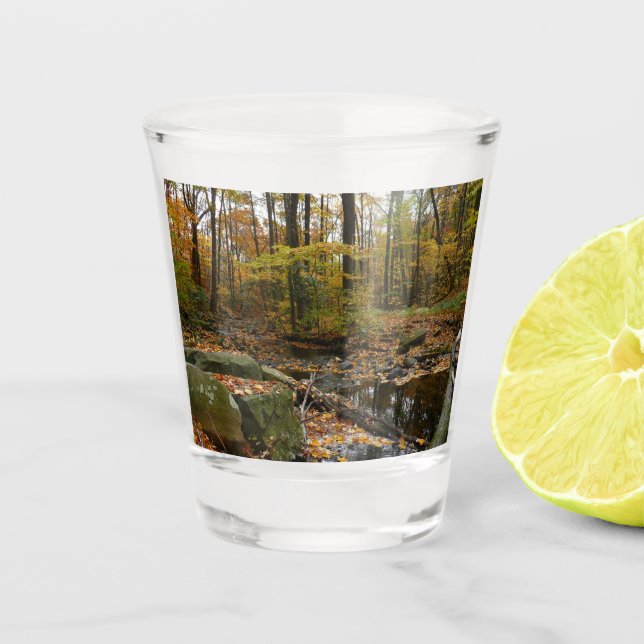 Fall Creek with Reflection at Laurel Hill Park Shot Glass (Front)